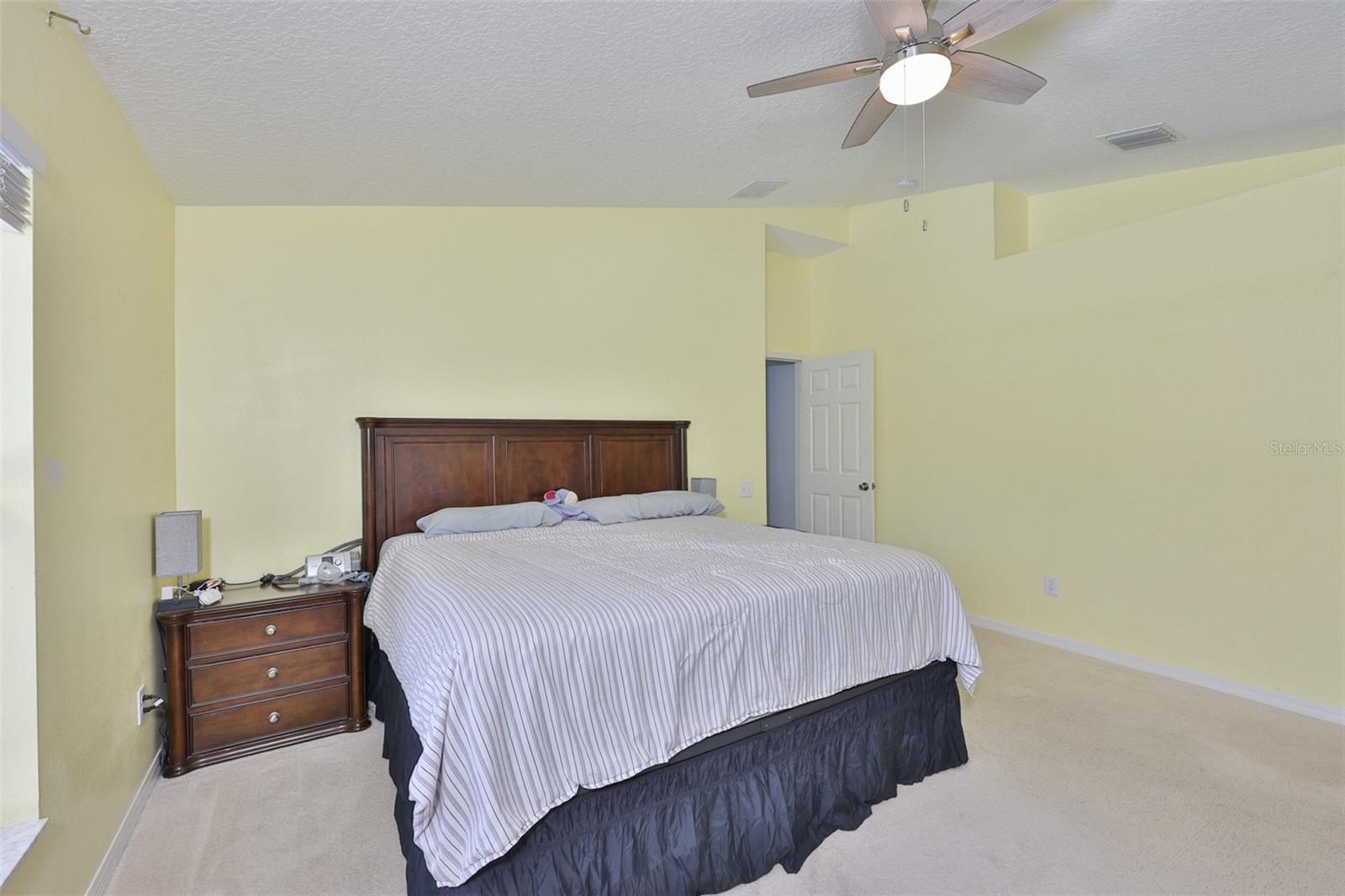 10234 BLOOMFIELD HILLS DR — photo 22