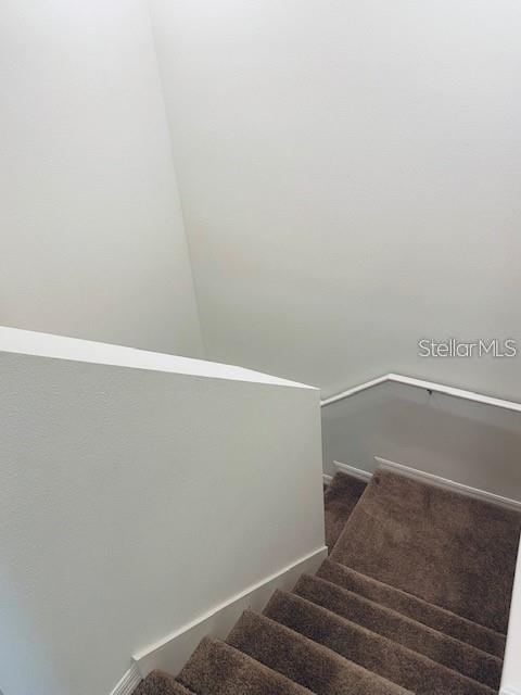 4916 GULF WATERS DR — photo 24