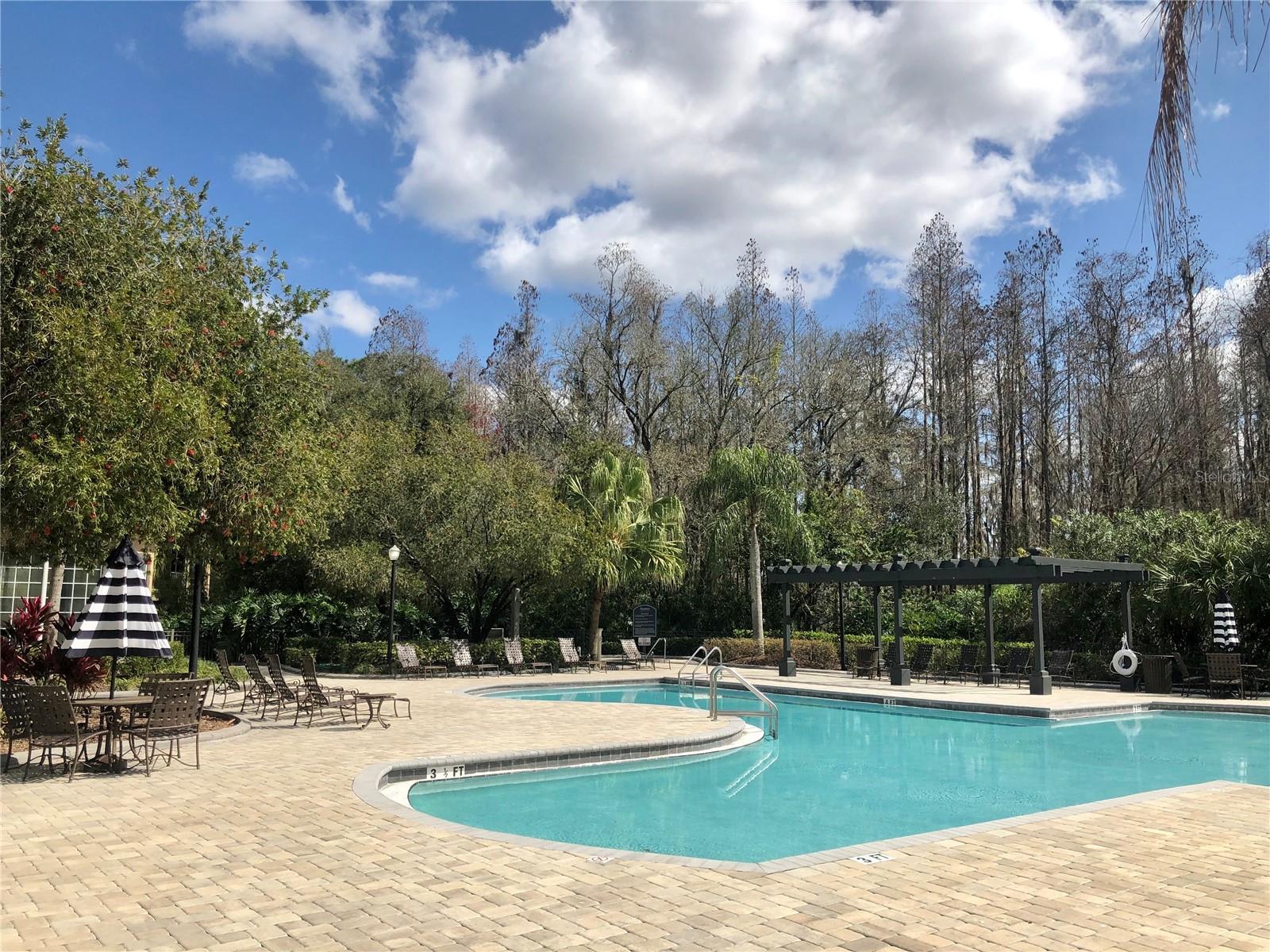 8541 BRUSHLEAF WAY — photo 35