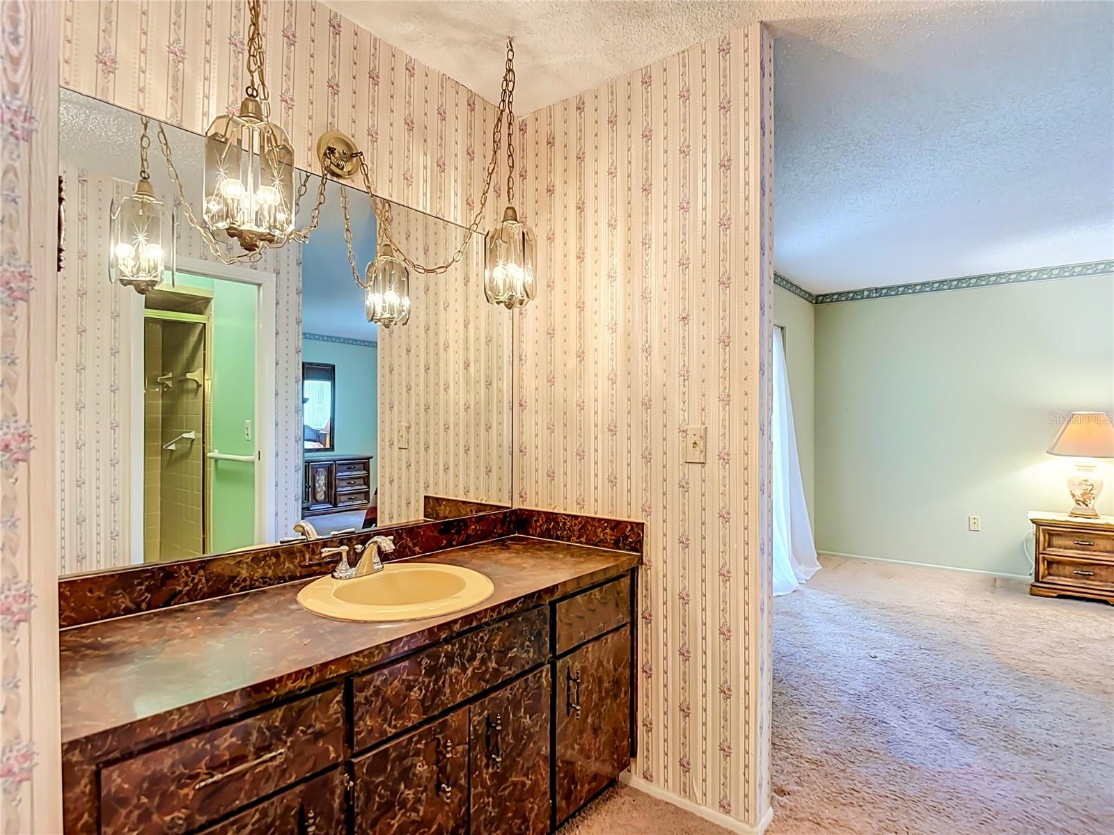 10050 DEER LN — photo 20