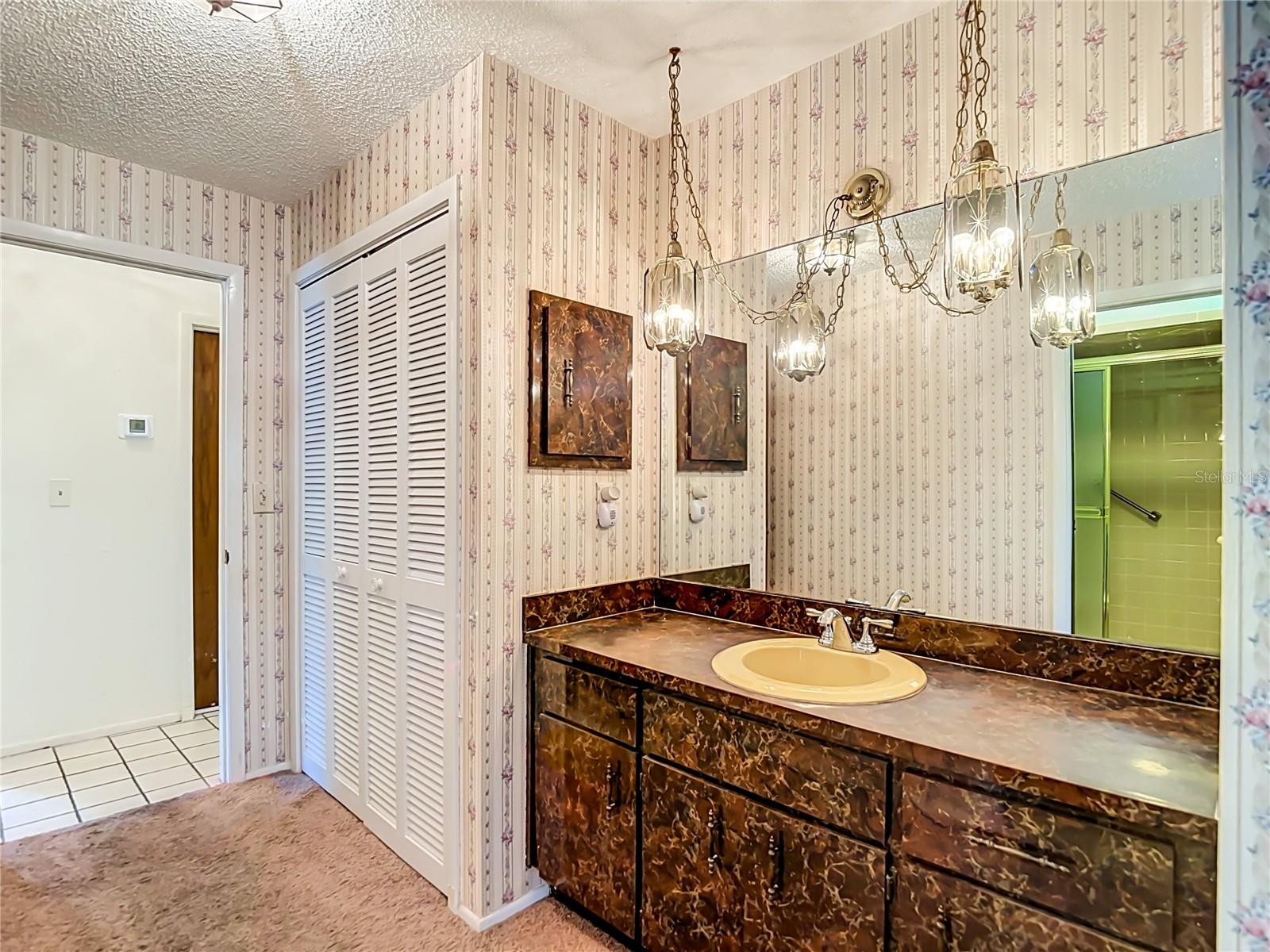 10050 DEER LN — photo 18
