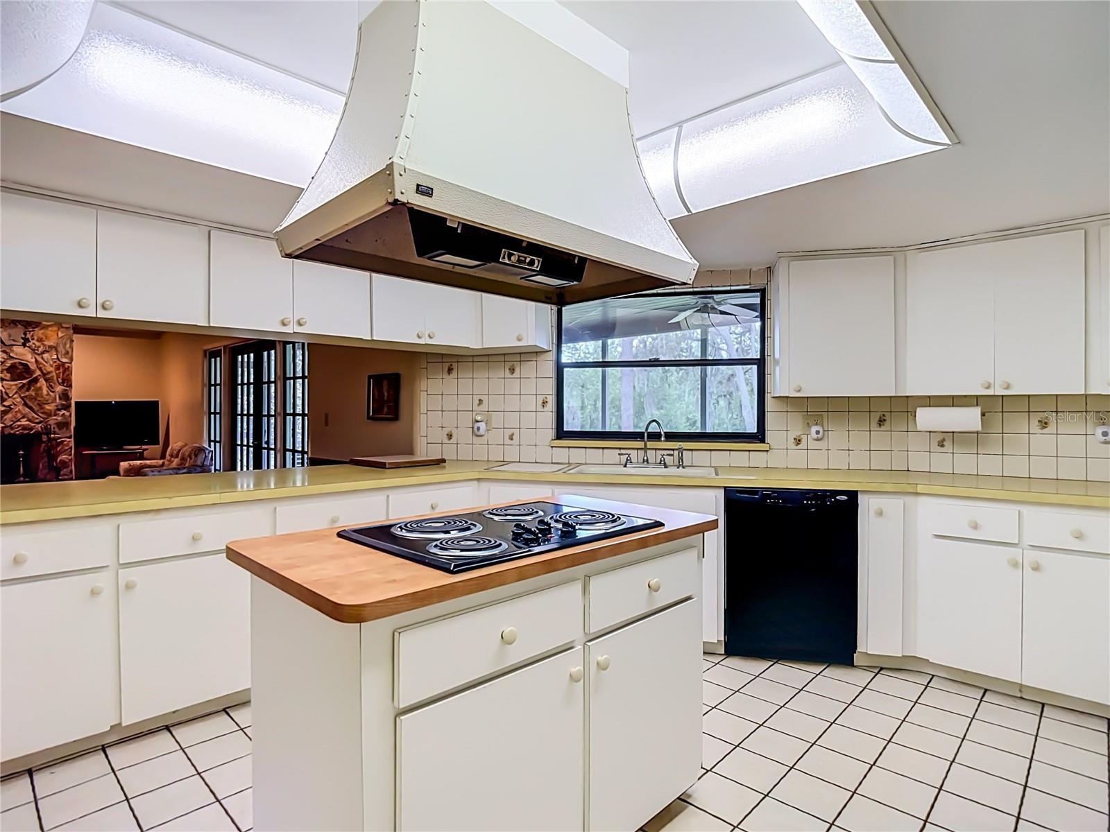 10050 DEER LN — photo 16