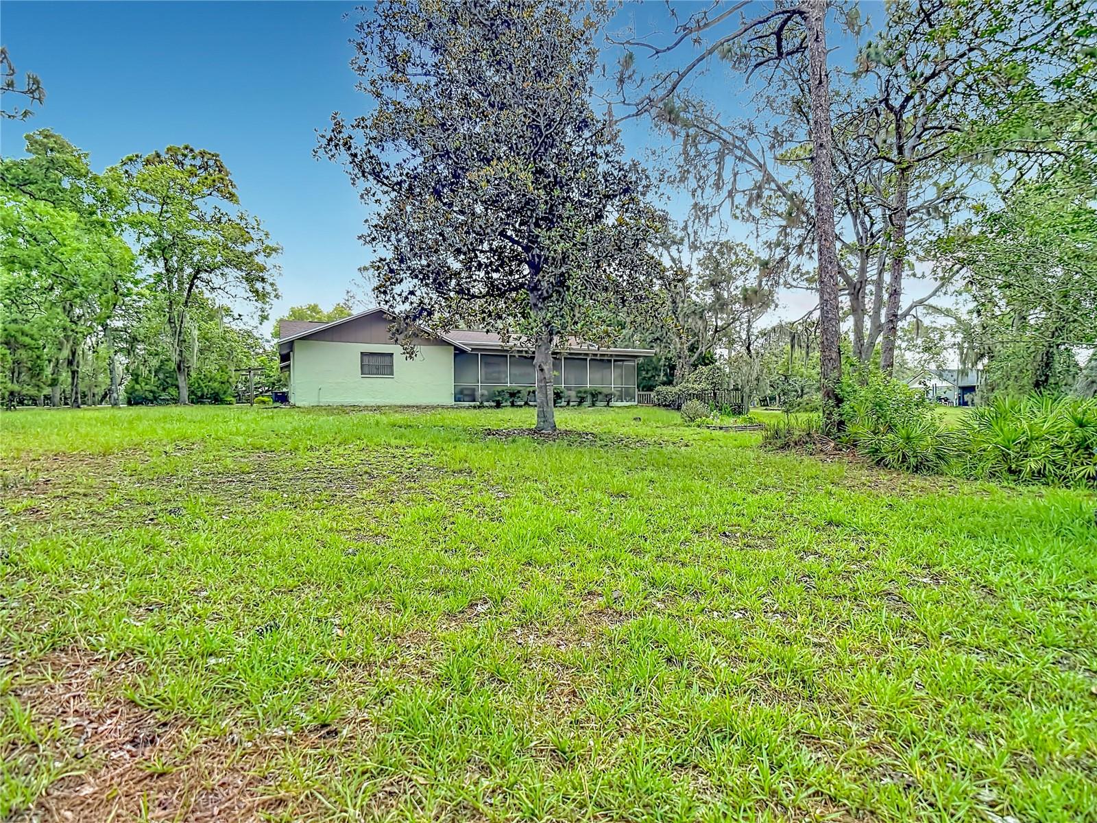10050 DEER LN — photo 29