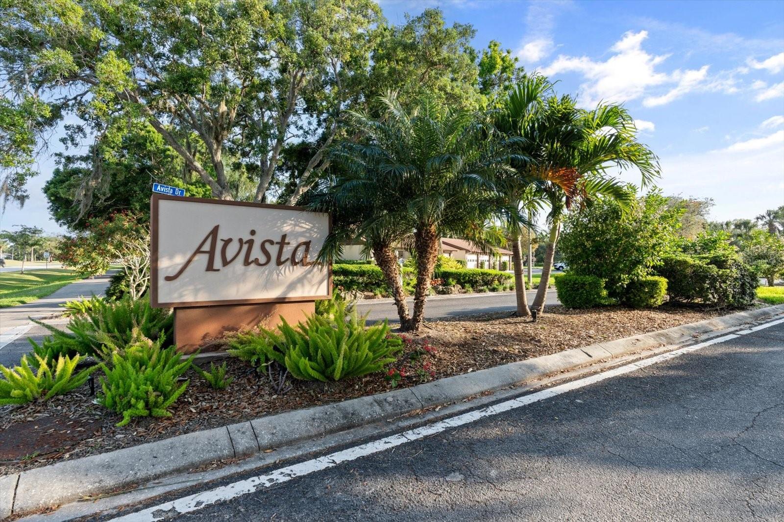 5753 AVISTA DR — photo 43