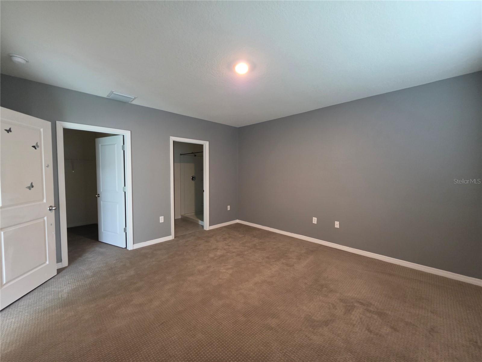 17007 BLISTER WING DR — photo 9