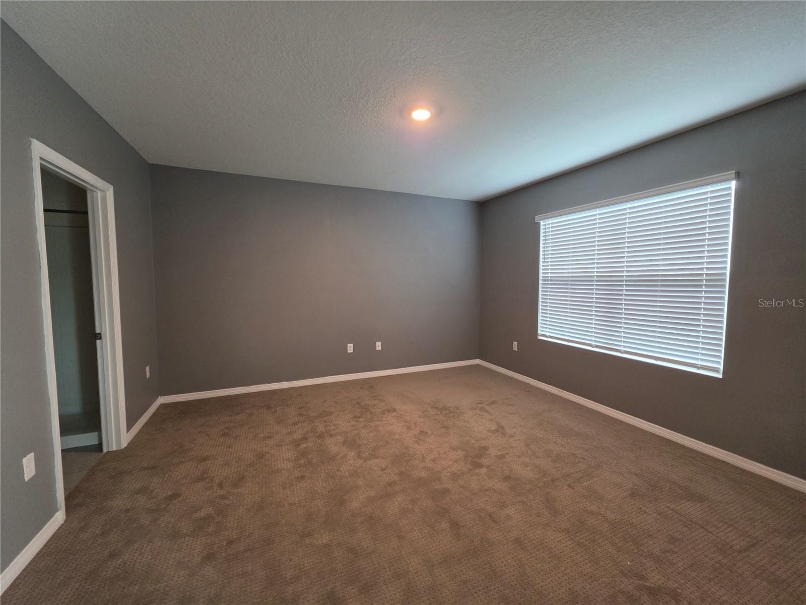 17007 BLISTER WING DR — photo 8