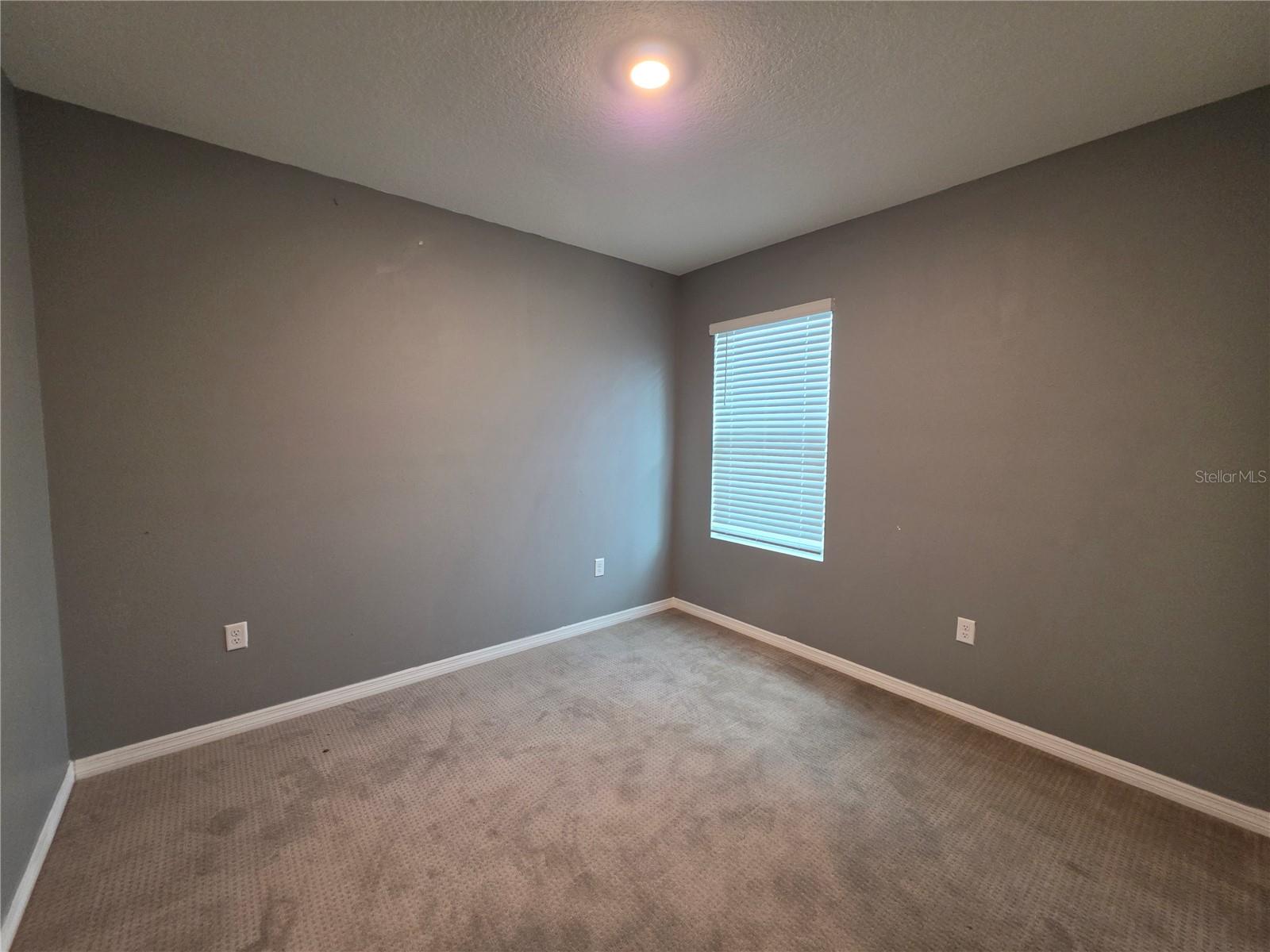 17007 BLISTER WING DR — photo 14