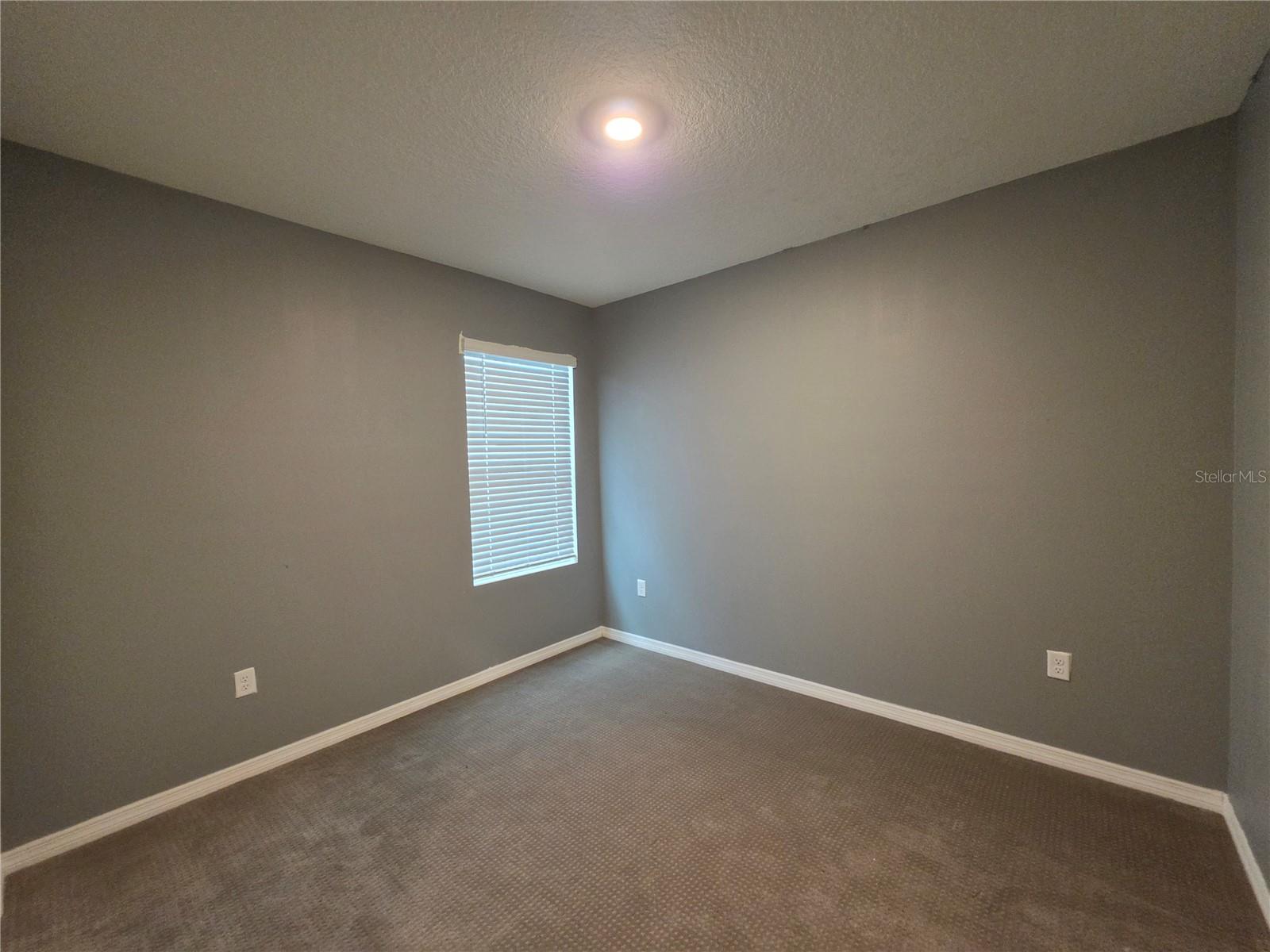 17007 BLISTER WING DR — photo 13