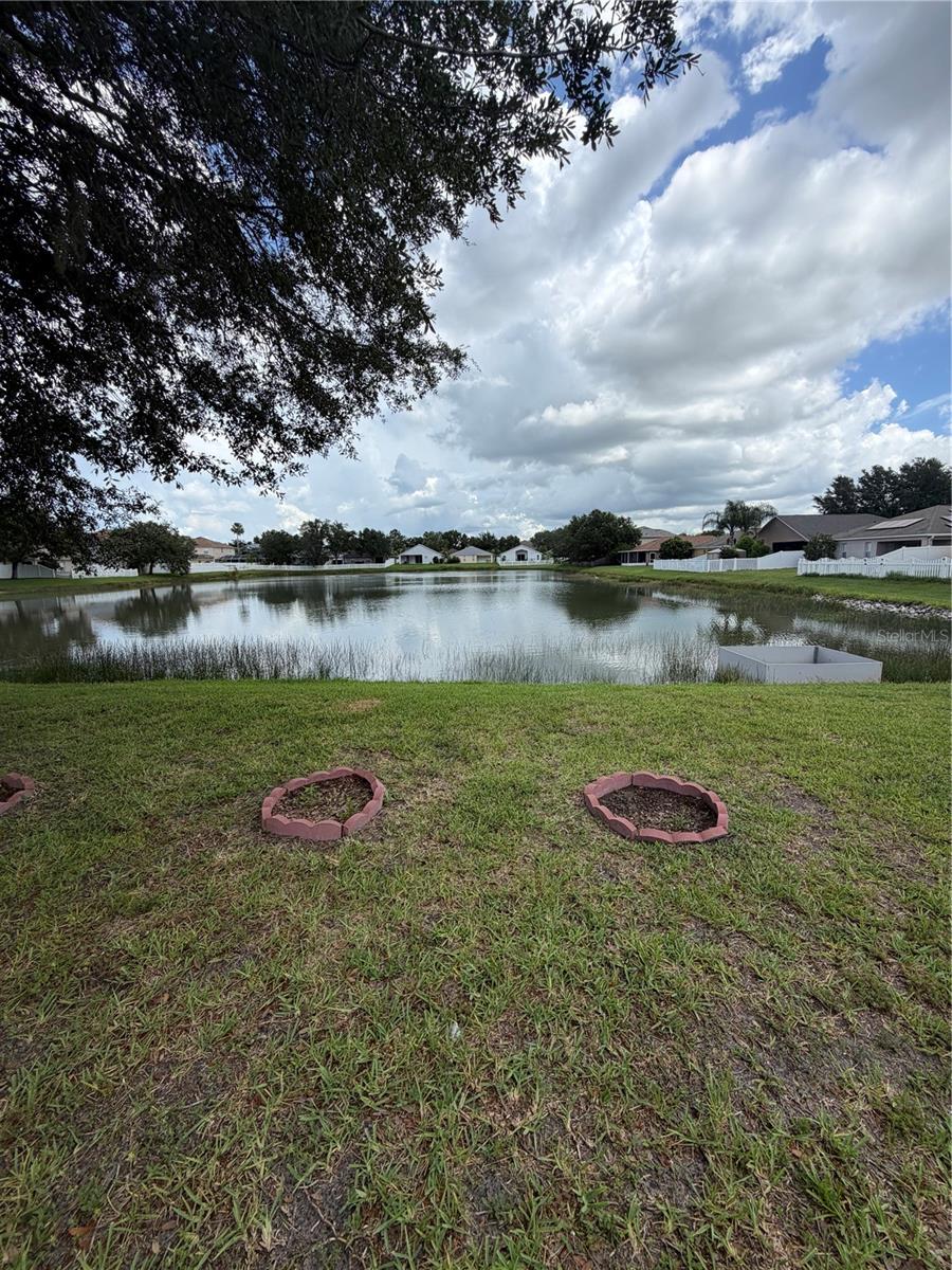 31037 BACLAN DR — photo 7
