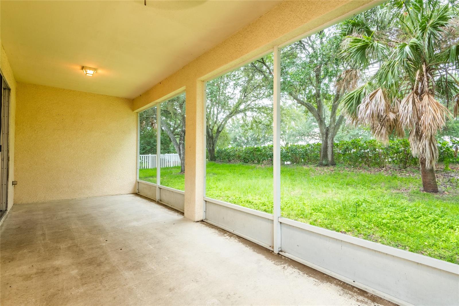 11112 HOLLY CONE DR — photo 34