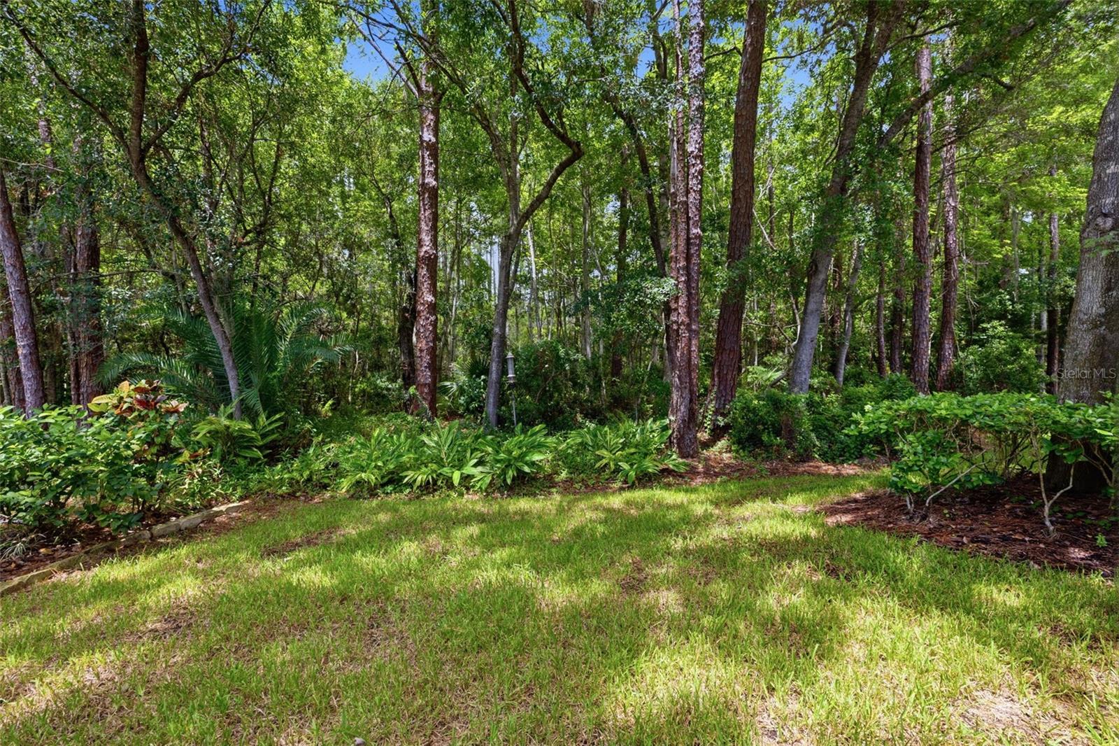 14613 MIRABELLE VISTA CIR — photo 2