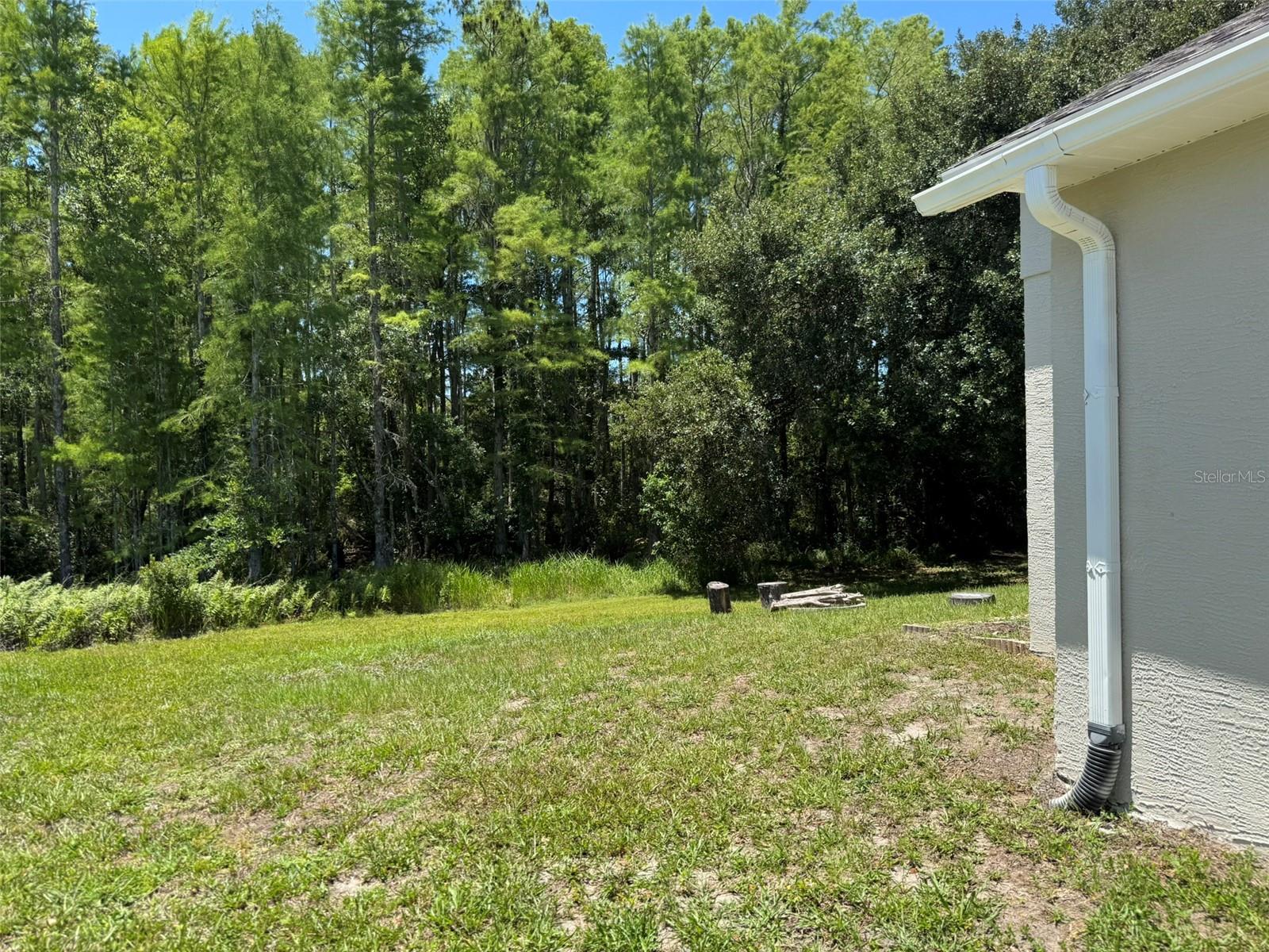 10104 BEEFMASTER CT — photo 18