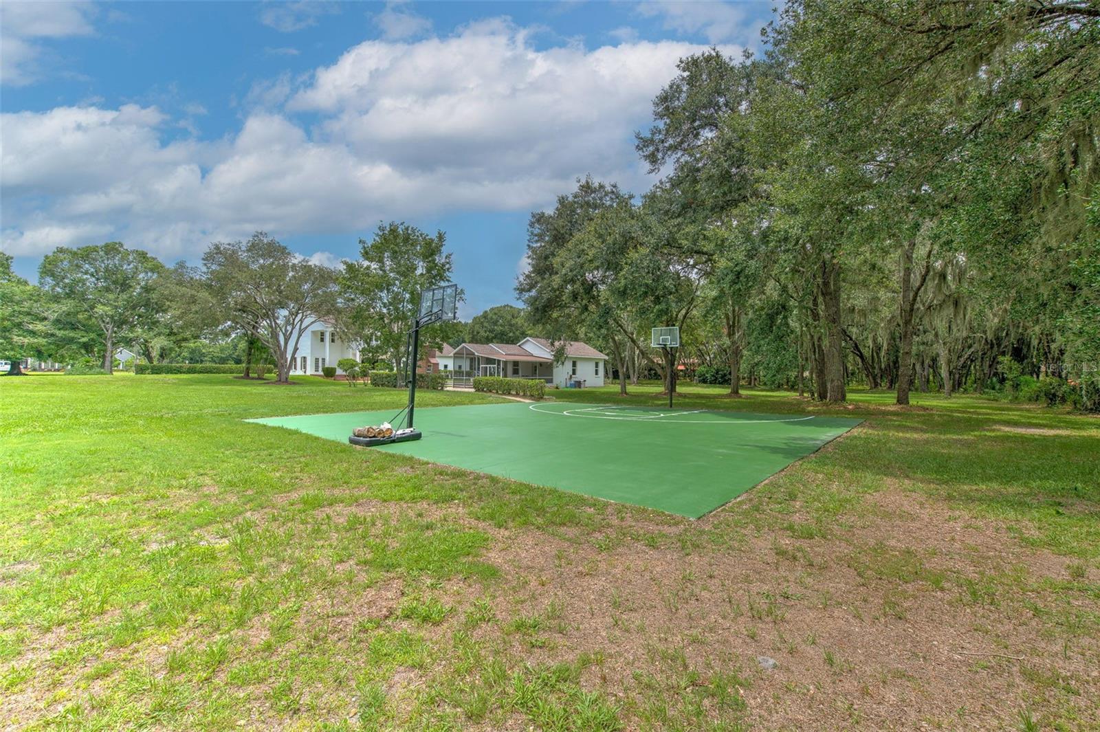 11444 HAMMOCK OAKS CT — photo 40