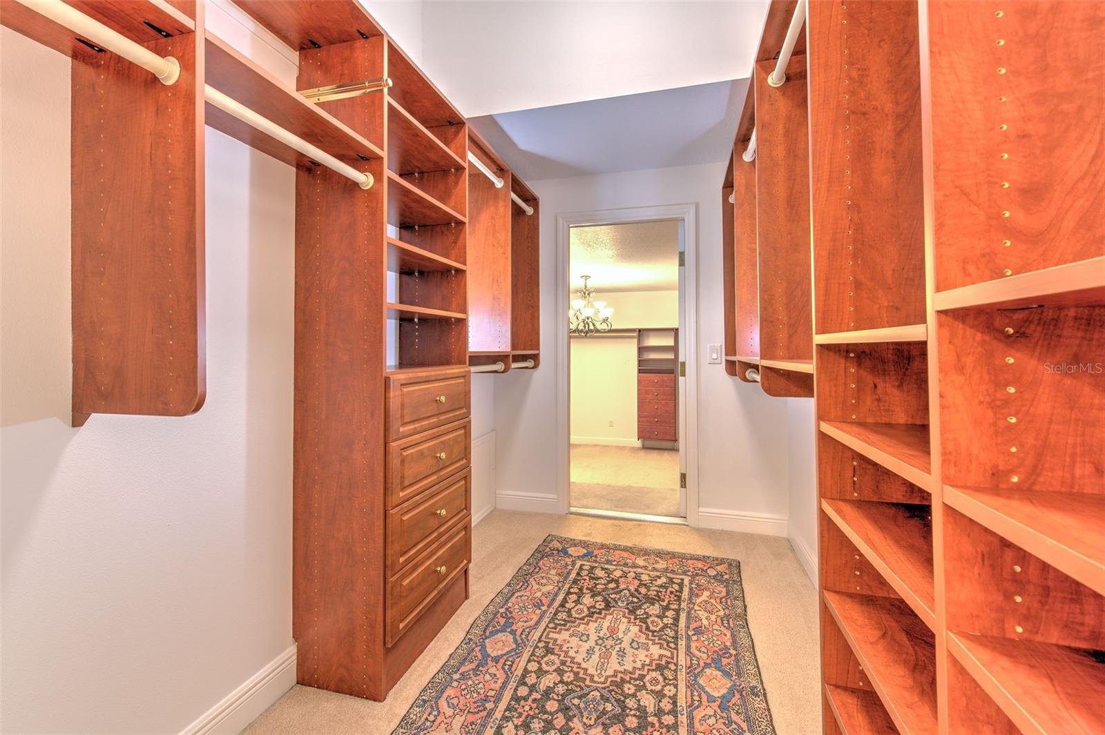 11444 HAMMOCK OAKS CT — photo 29