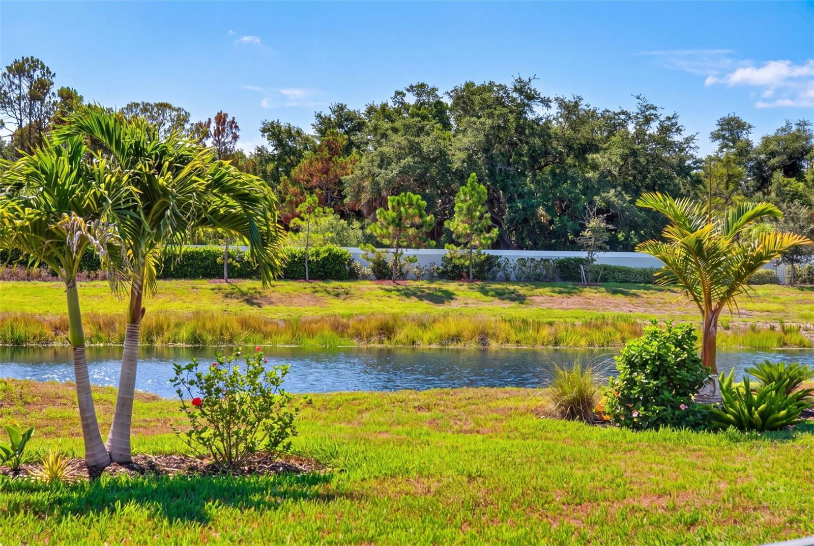 10004 CORAL SHORE DR — photo 61