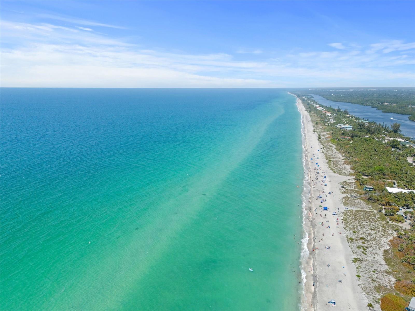 10004 CORAL SHORE DR — photo 89