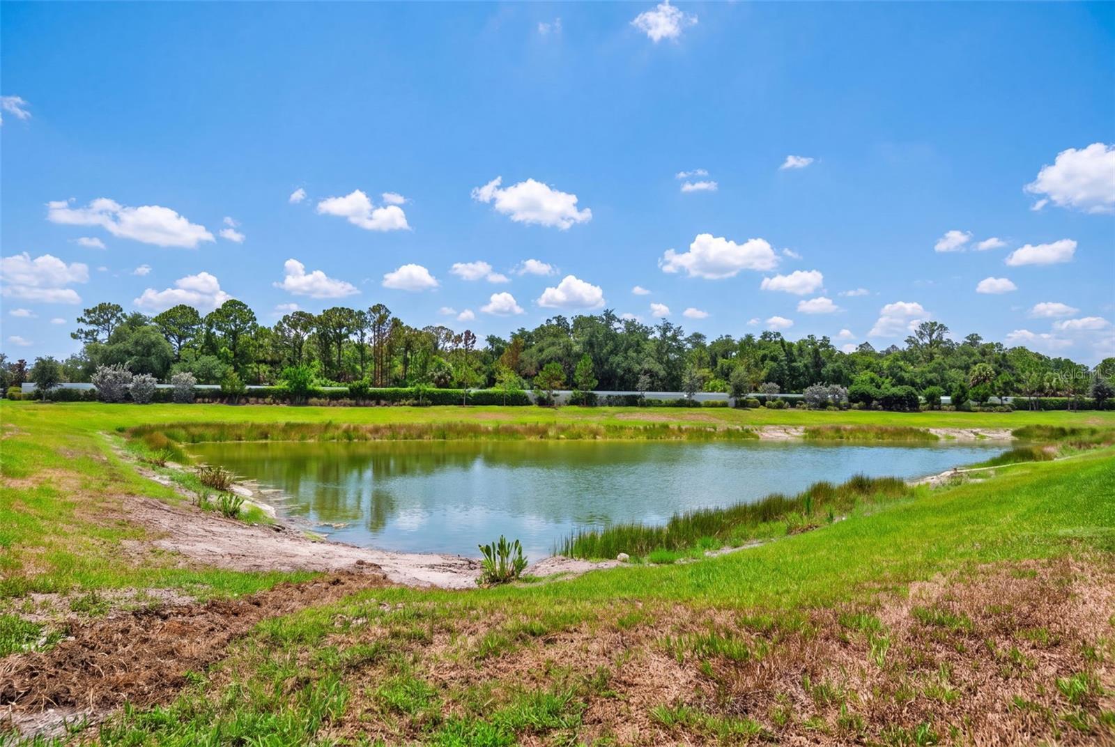 10004 CORAL SHORE DR — photo 62