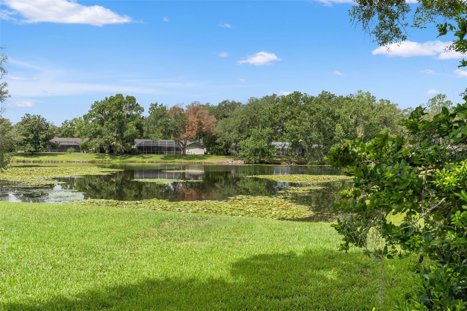 13916 MIDDLE PARK DR — photo 32