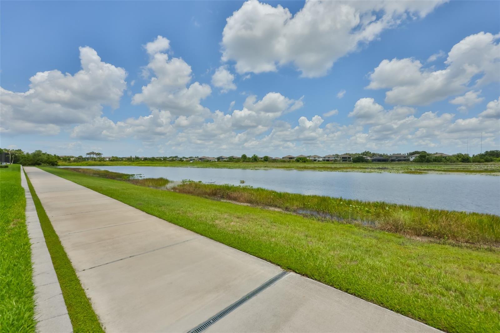 12835 SATIN LILY DR — photo 40