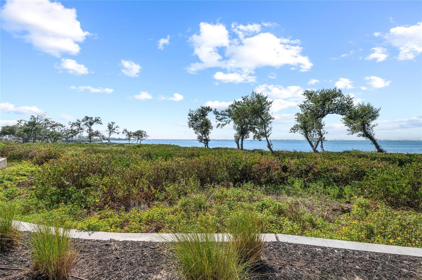 268 SAINT LUCIA DR #101 — photo 7
