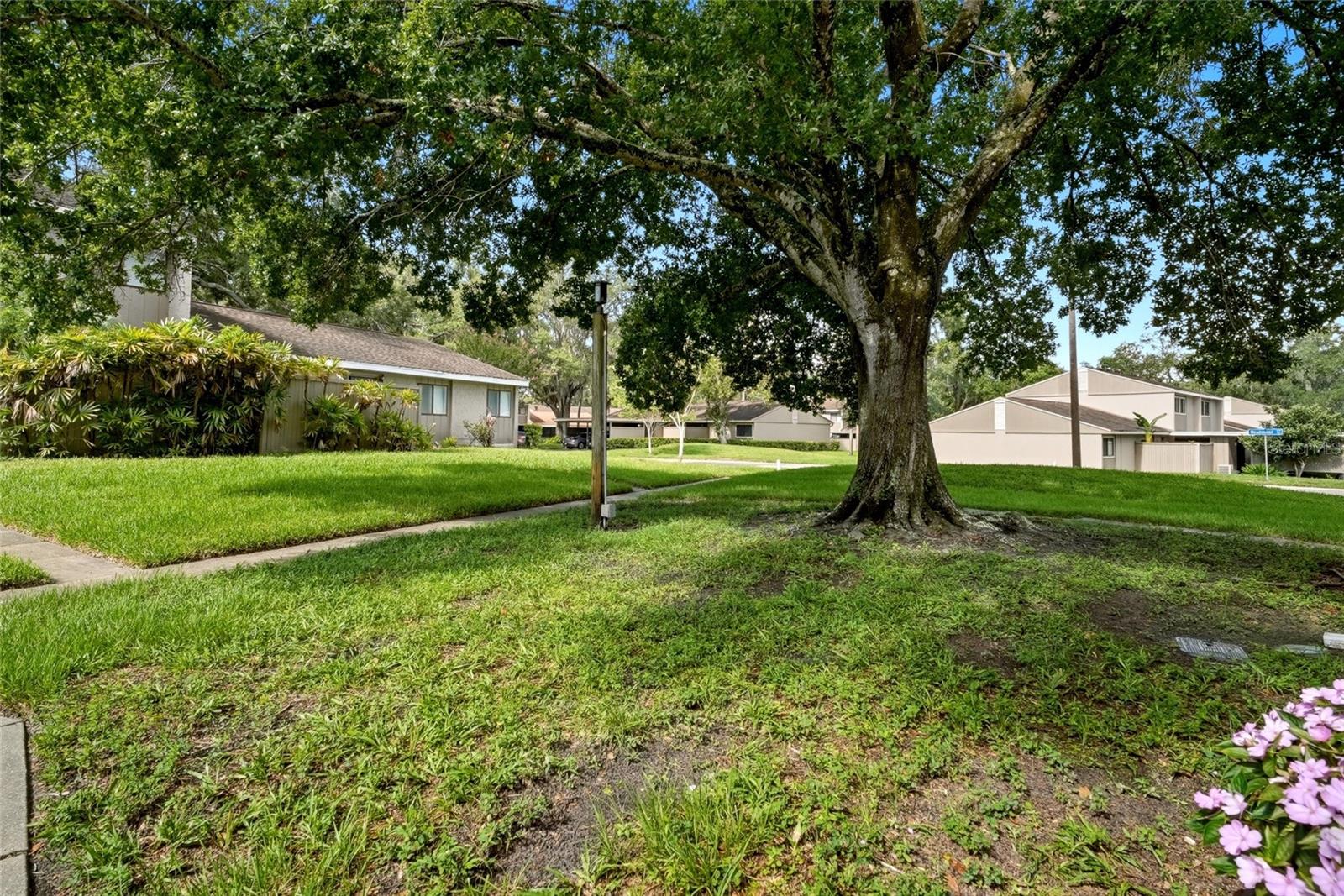8003 JASMINE DR #8003 — photo 33