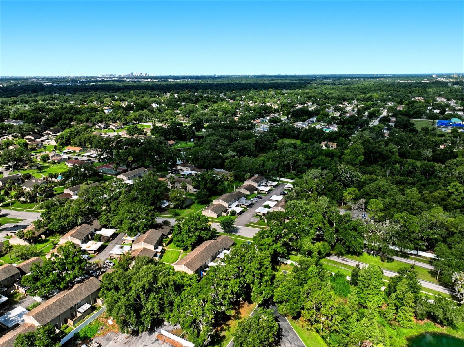 8003 JASMINE DR #8003 — photo 37