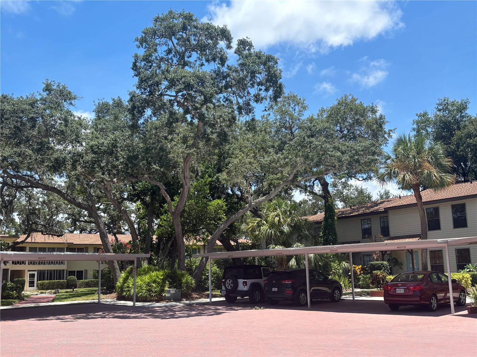 1515 BAYSHORE BLVD #26 — photo 2
