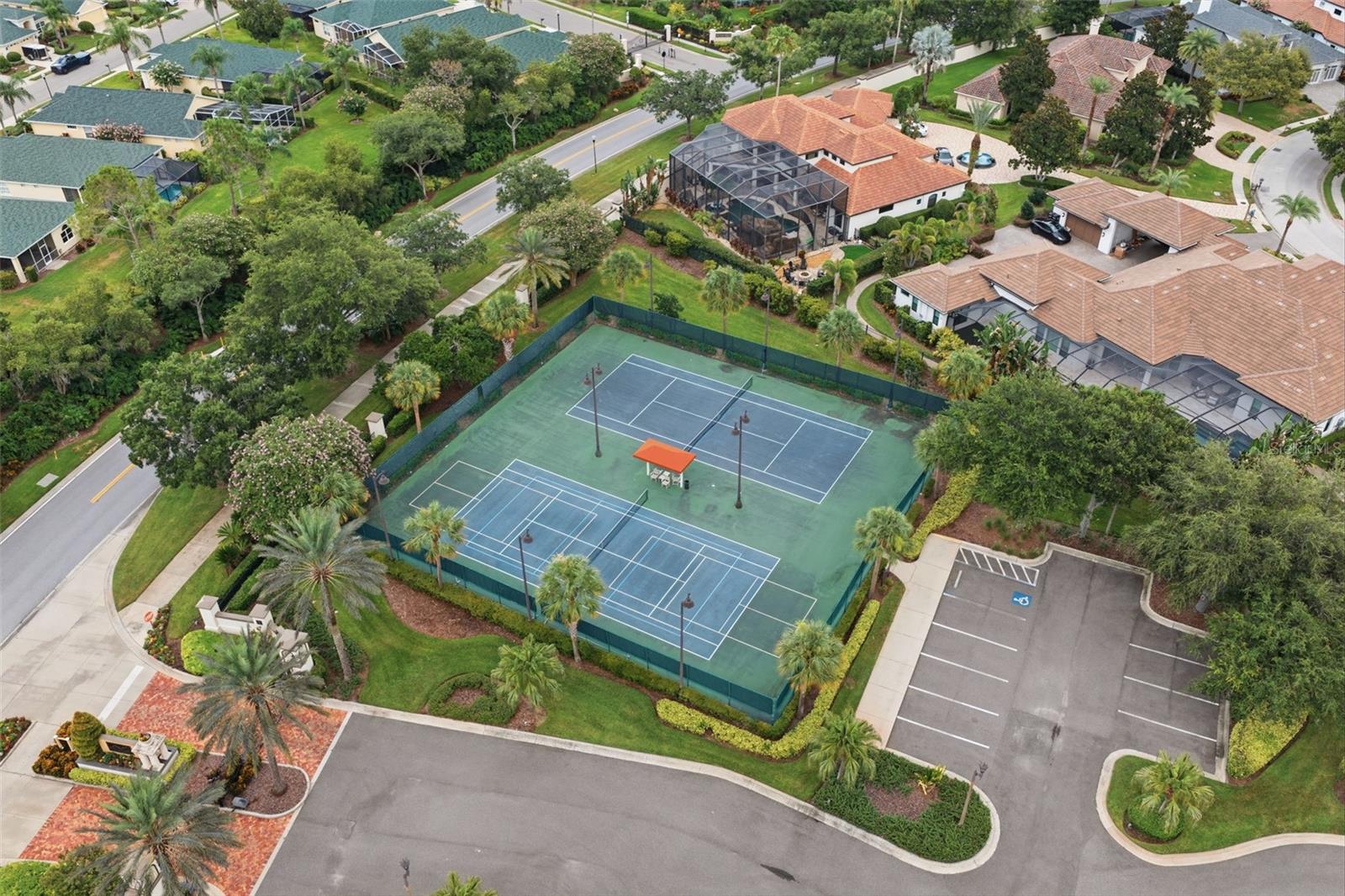 10341 ALTRARA WAY — photo 4