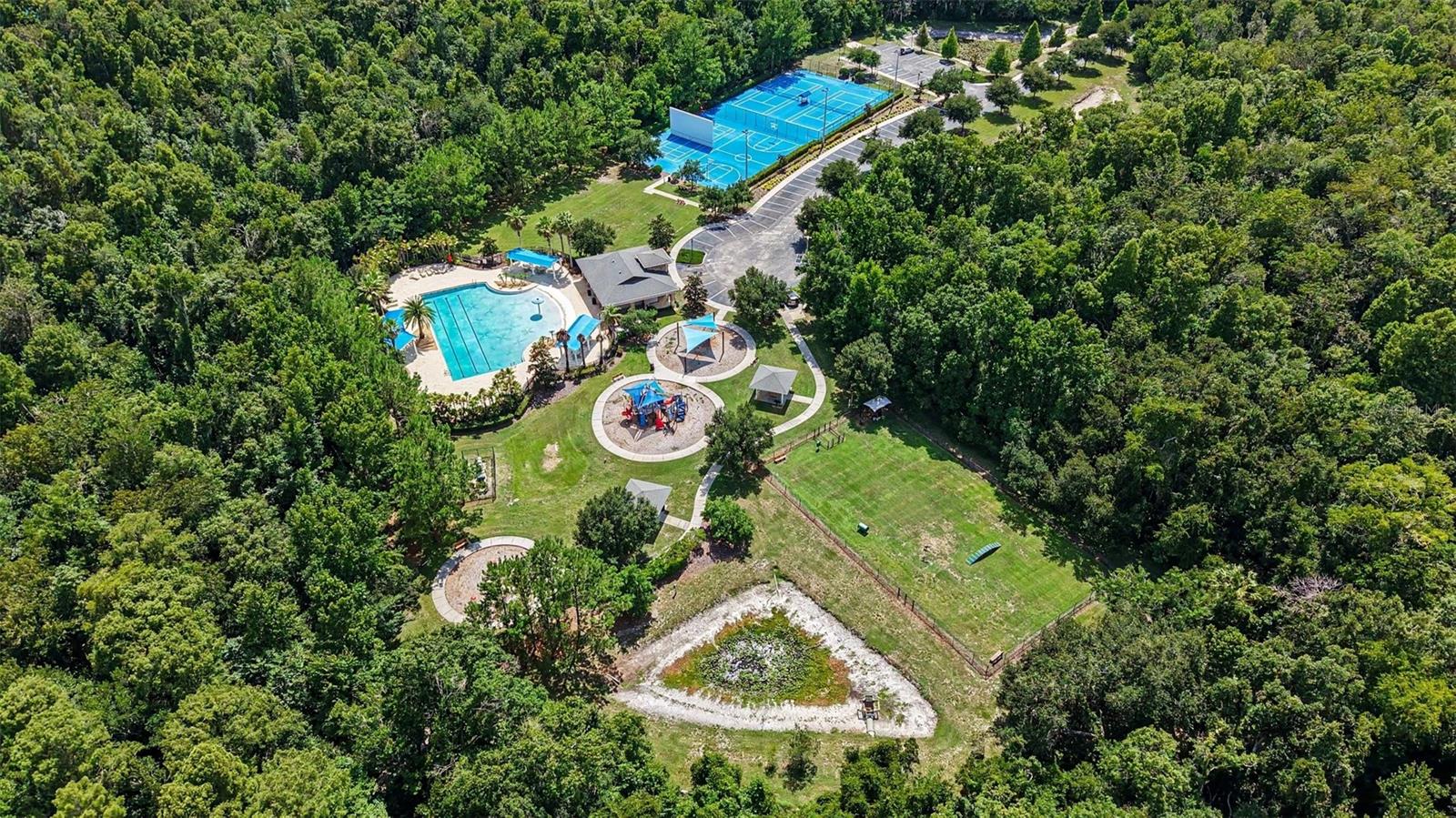 17823 DAISY FARM DR — photo 42