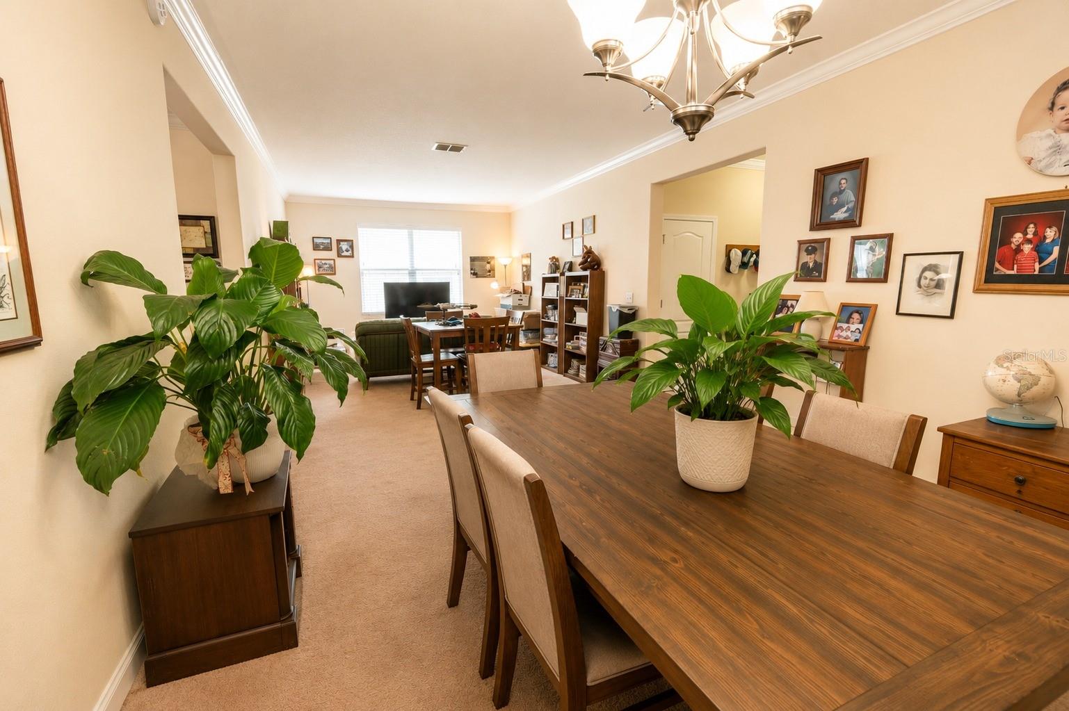 13842 BEE TREE CT — photo 7