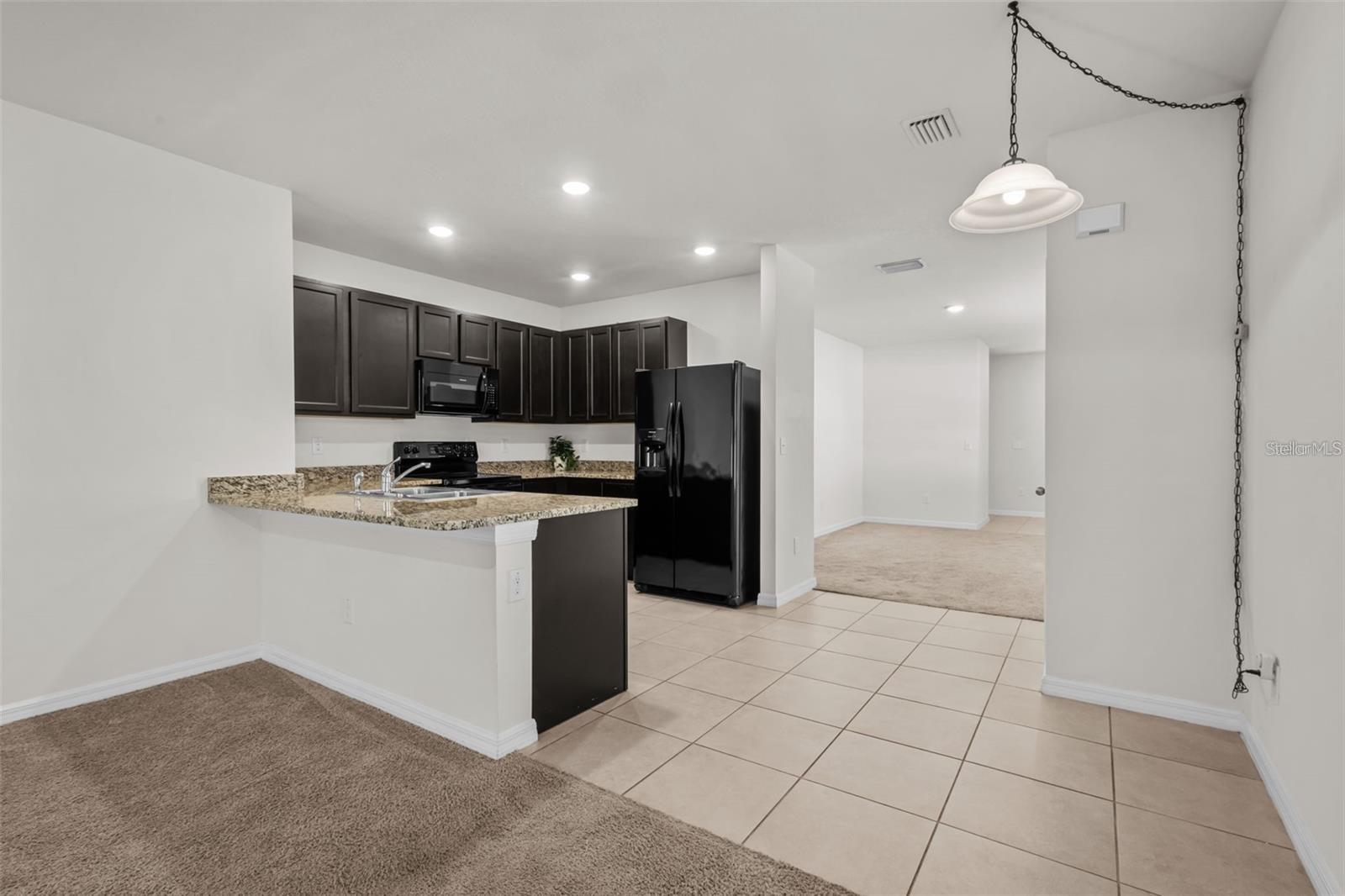 16164 SILENT SANDS LN — photo 8