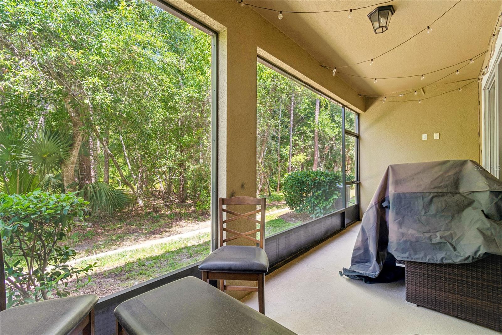 17852 ALTHEA BLUE PL — photo 44
