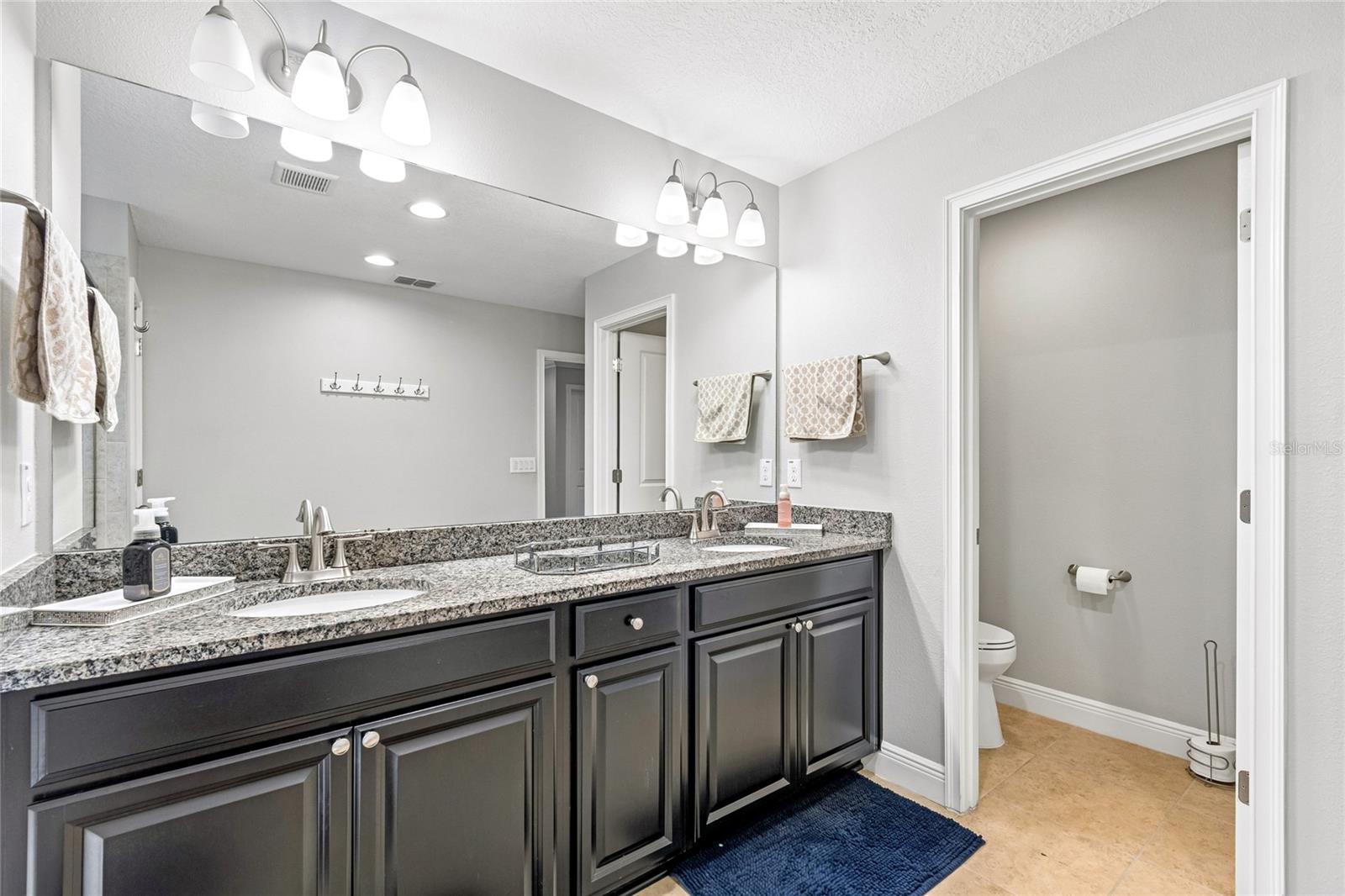 17852 ALTHEA BLUE PL — photo 28