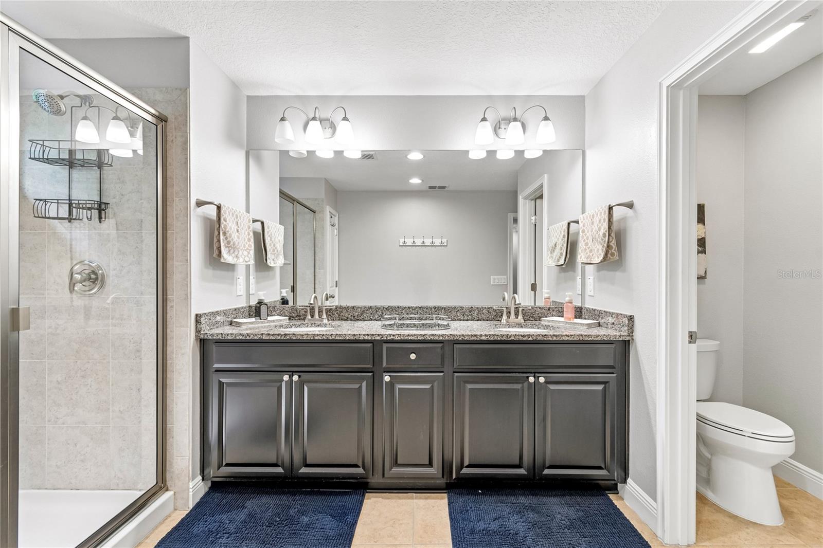 17852 ALTHEA BLUE PL — photo 29