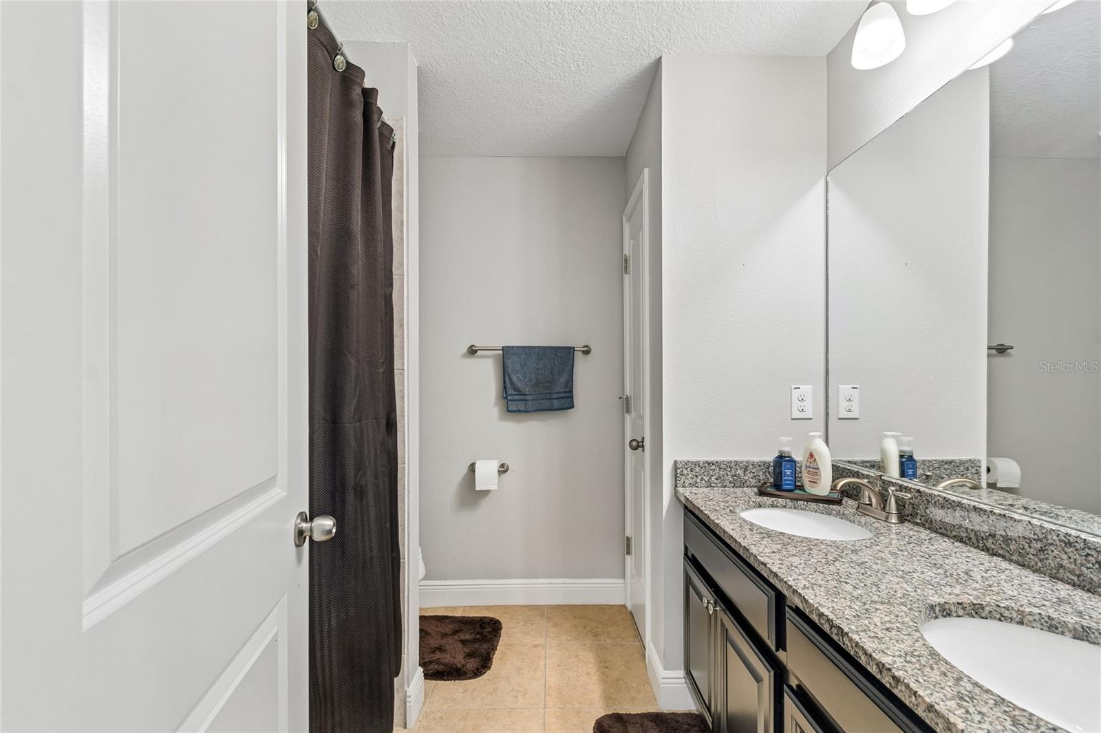 17852 ALTHEA BLUE PL — photo 37