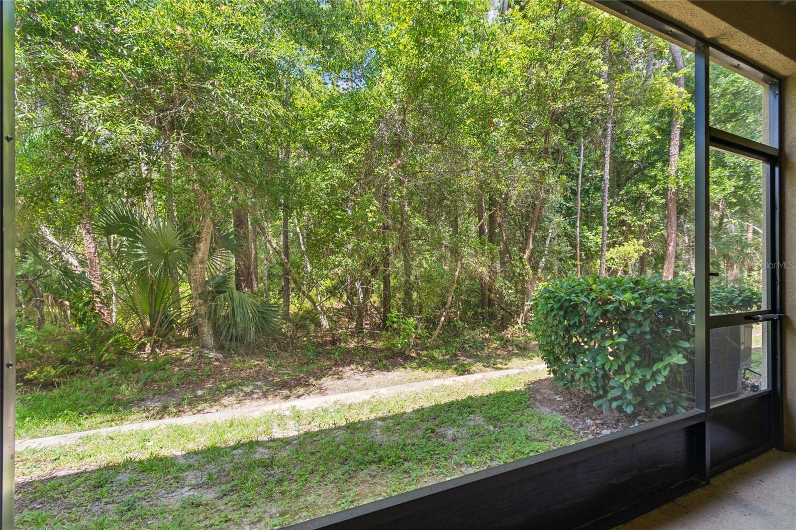 17852 ALTHEA BLUE PL — photo 43