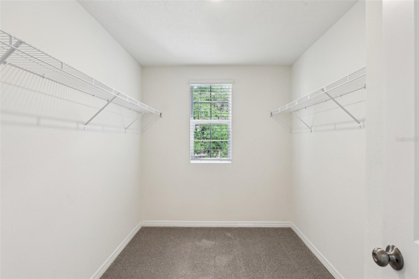36557 NIGHT STRAWBERRY CT — photo 41