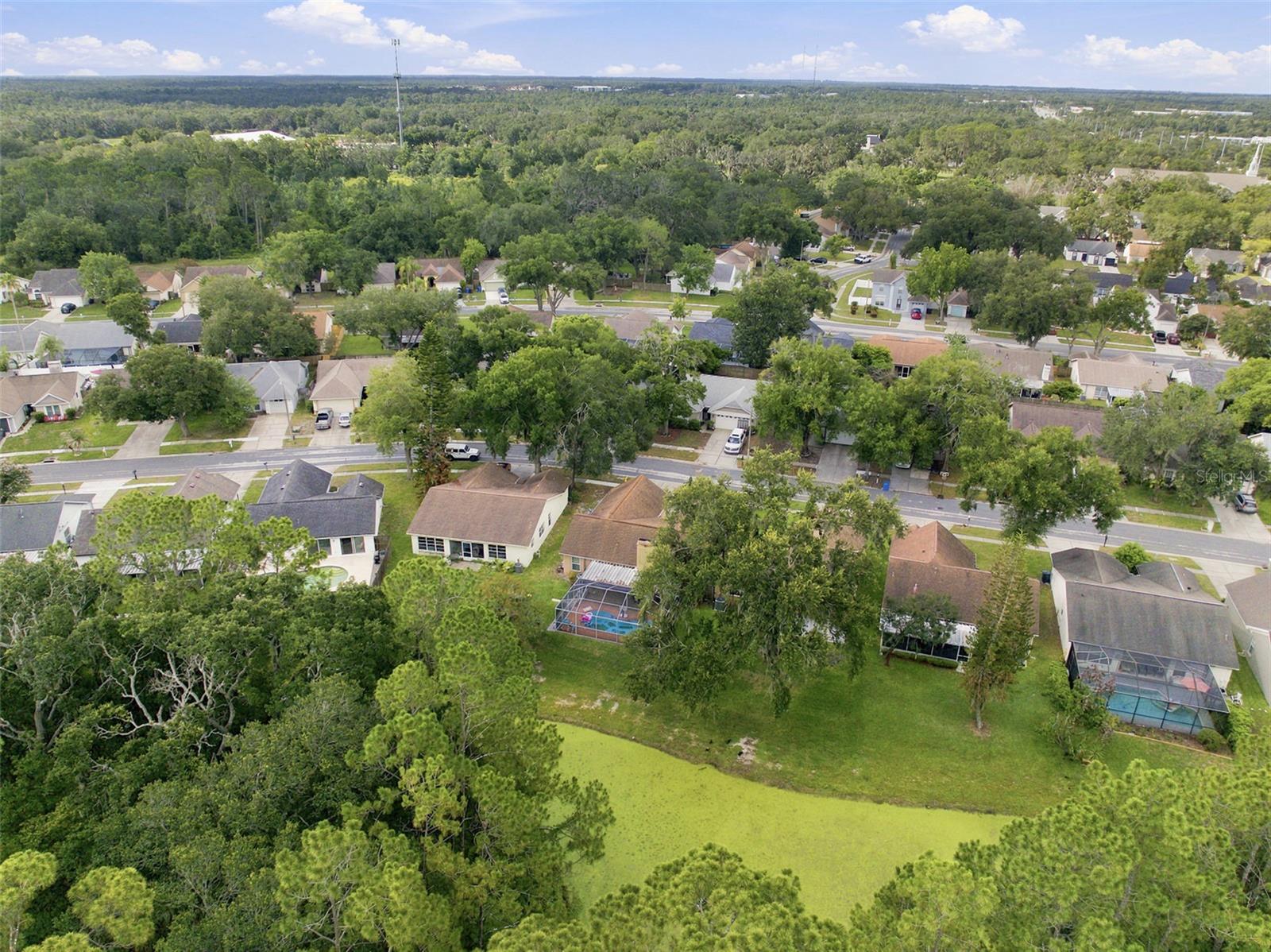 1014 HARDWOOD DR — photo 43