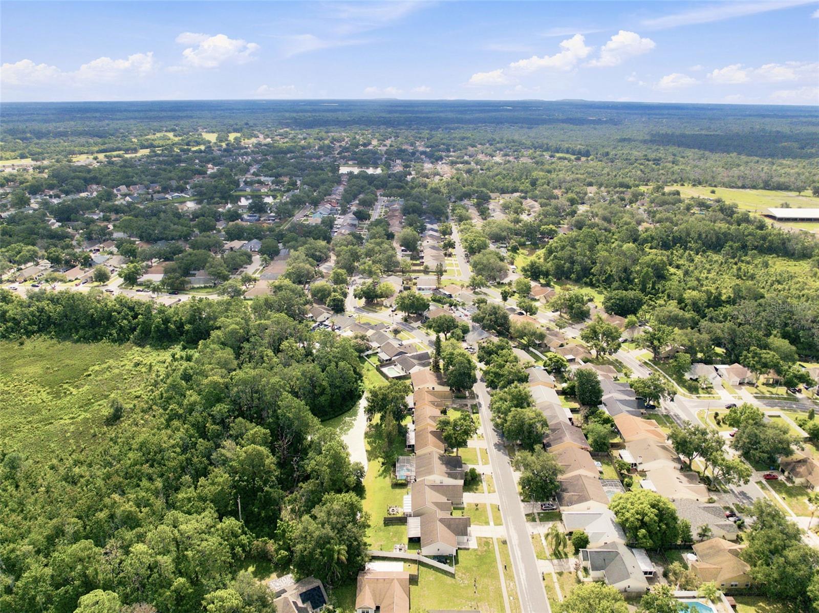 1014 HARDWOOD DR — photo 48