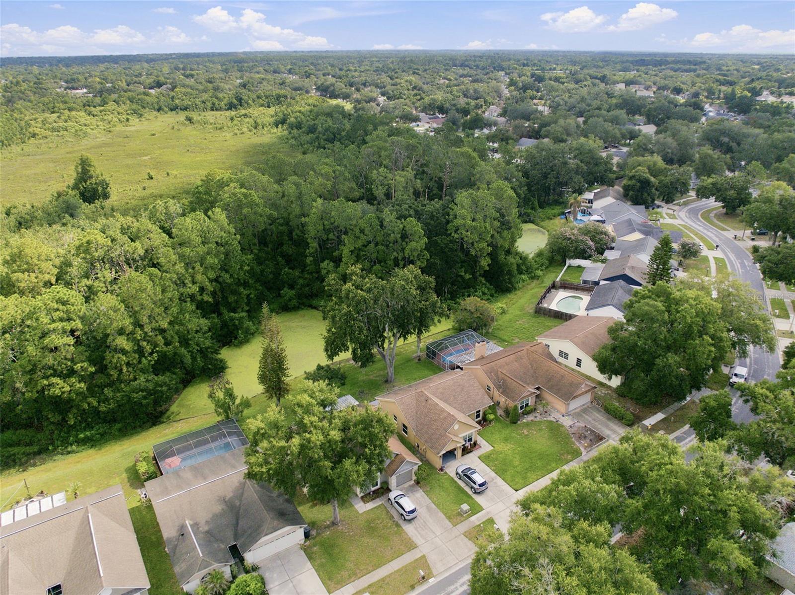 1014 HARDWOOD DR — photo 44