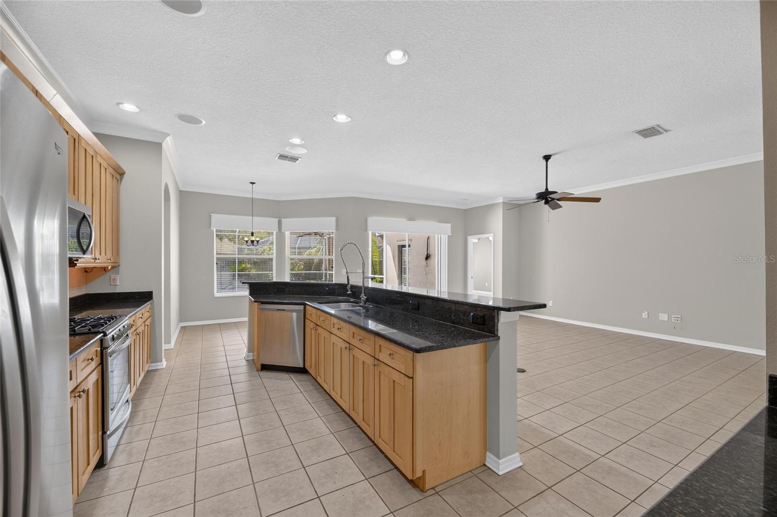 12519 RIVER BIRCH DR — photo 13
