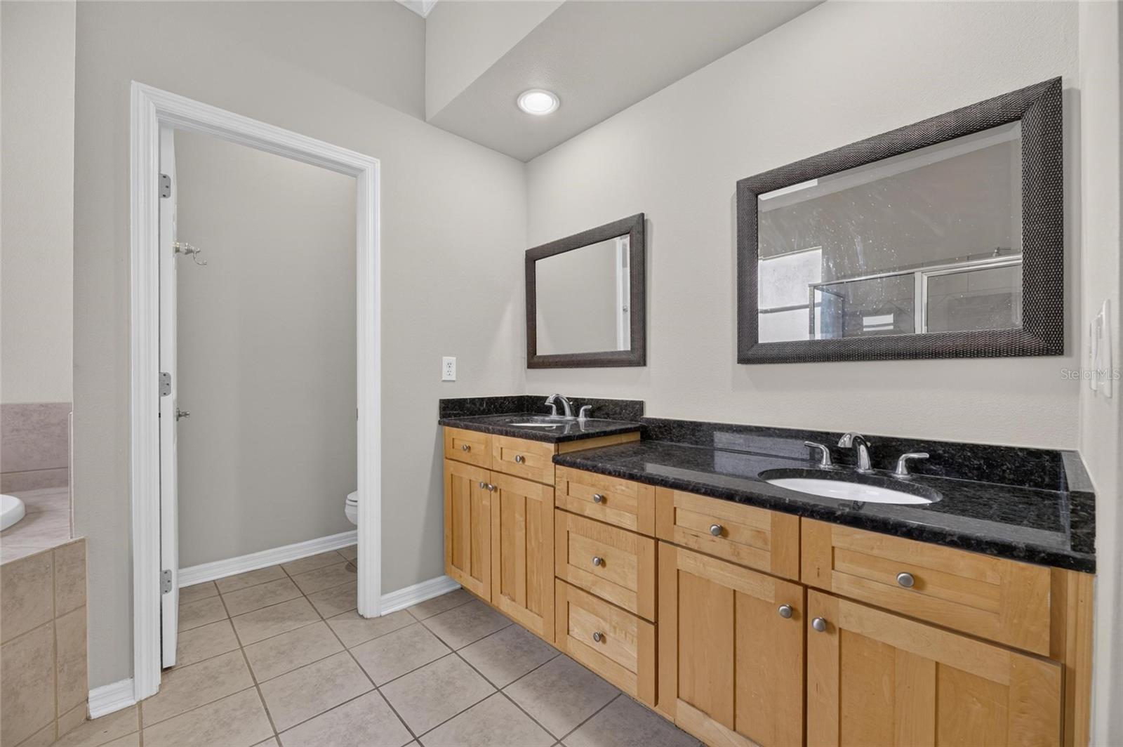 12519 RIVER BIRCH DR — photo 25