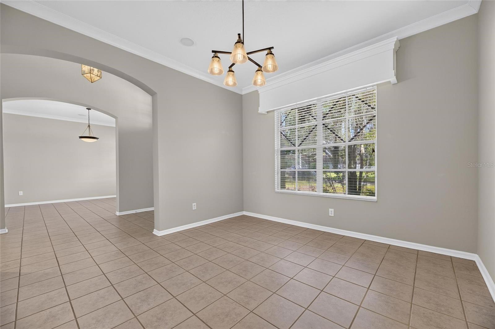 12519 RIVER BIRCH DR — photo 9