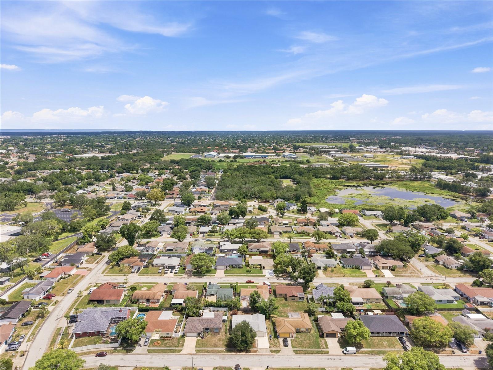 7819 ROYAL STEWART DR — photo 41
