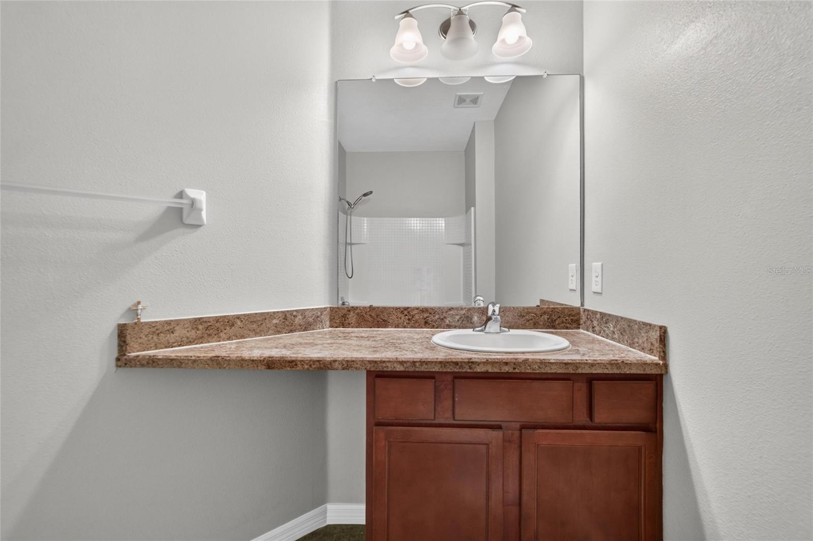 8833 MOONLIT MEADOWS LOOP — photo 41