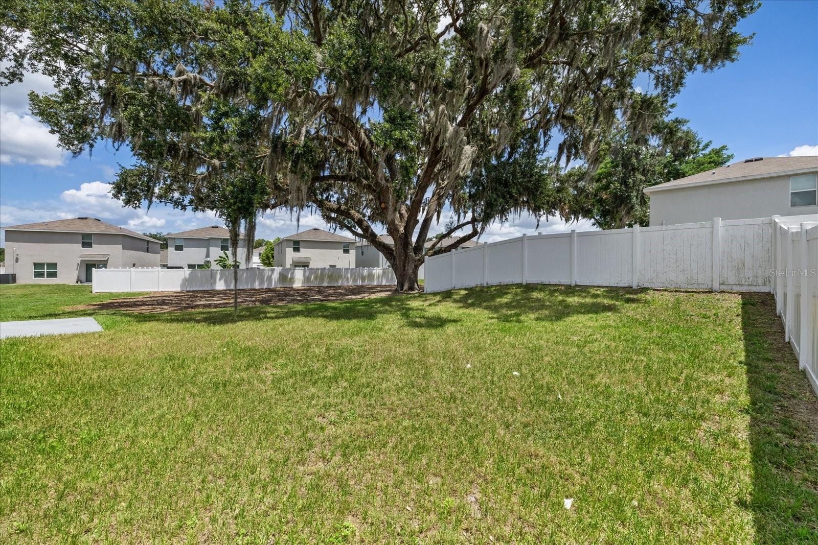 13904 WINEBERRY DR — photo 24