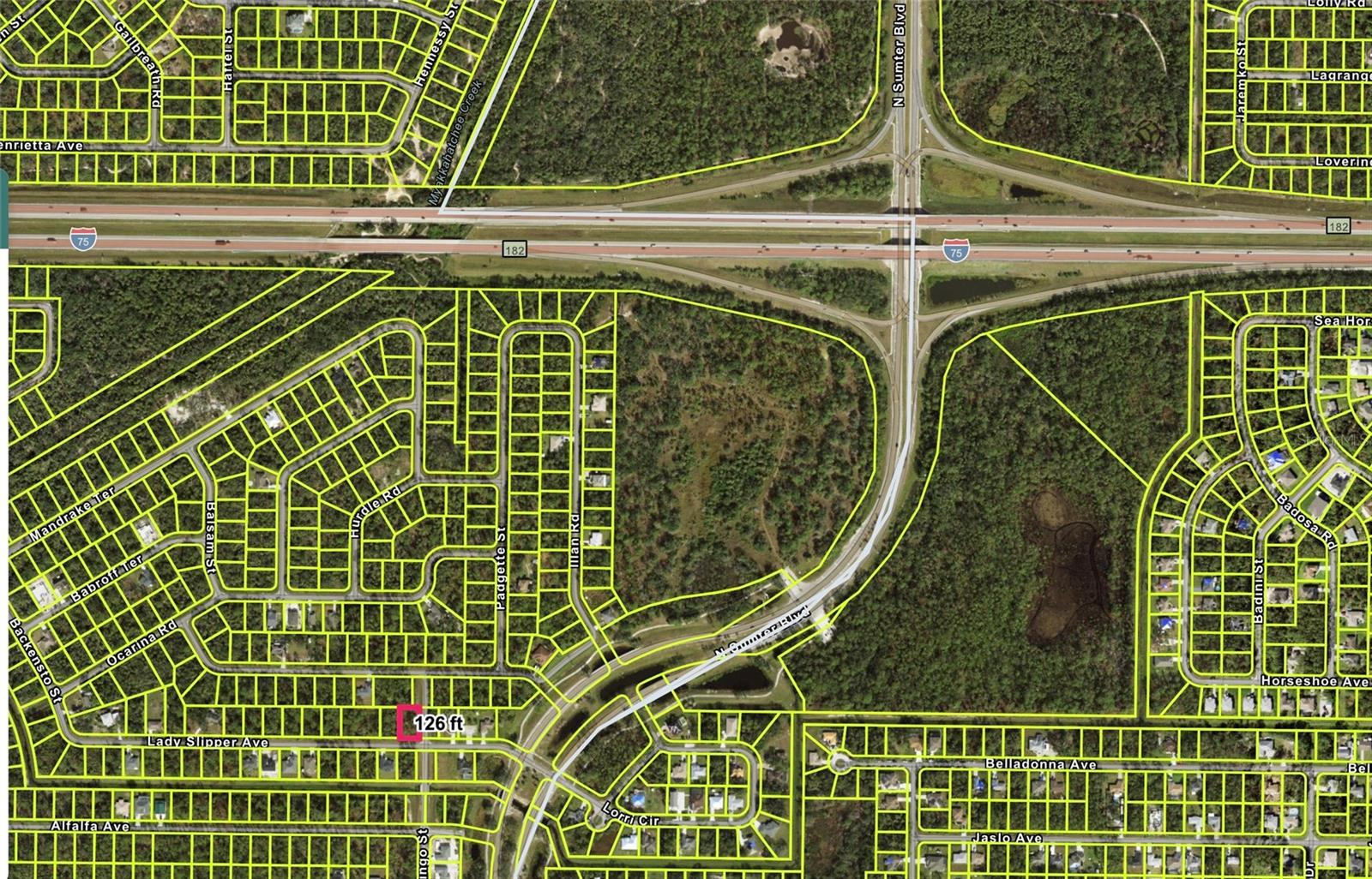 LADY SLIPPER AVE — photo 2