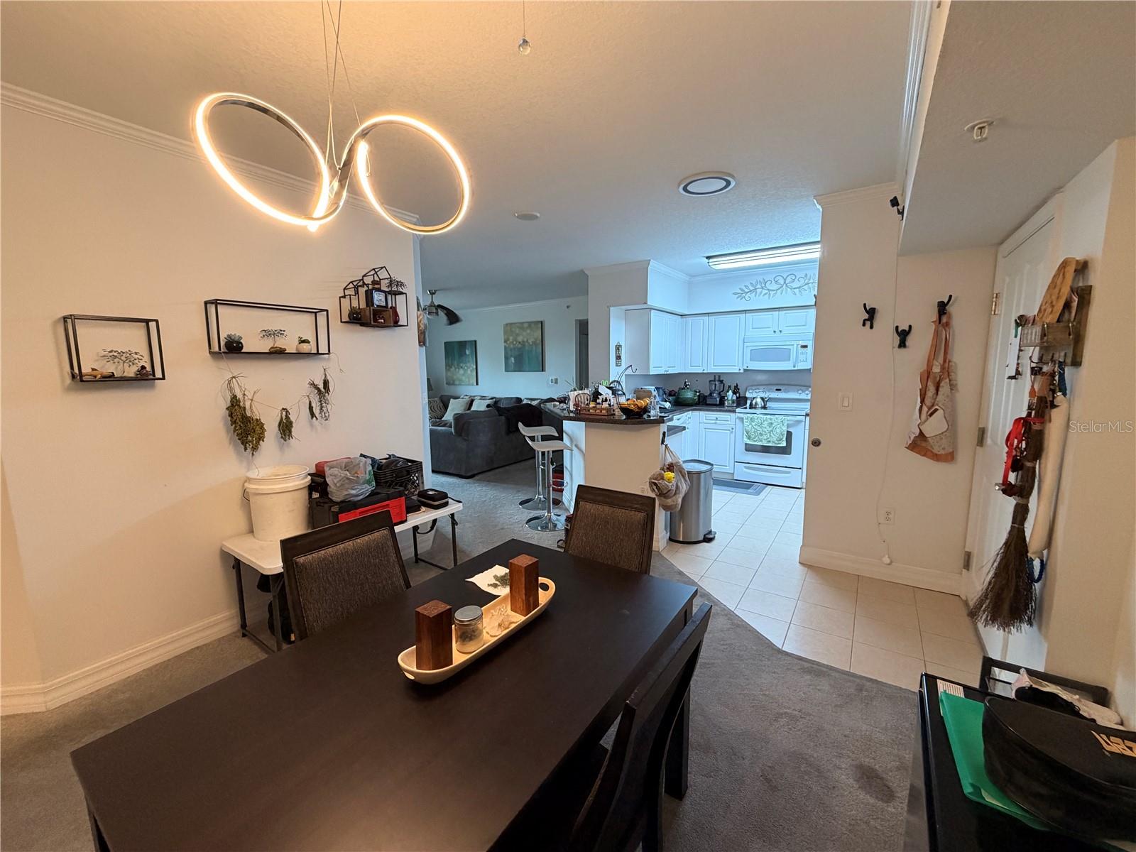 4516 SEAGULL DR #515 — photo 5
