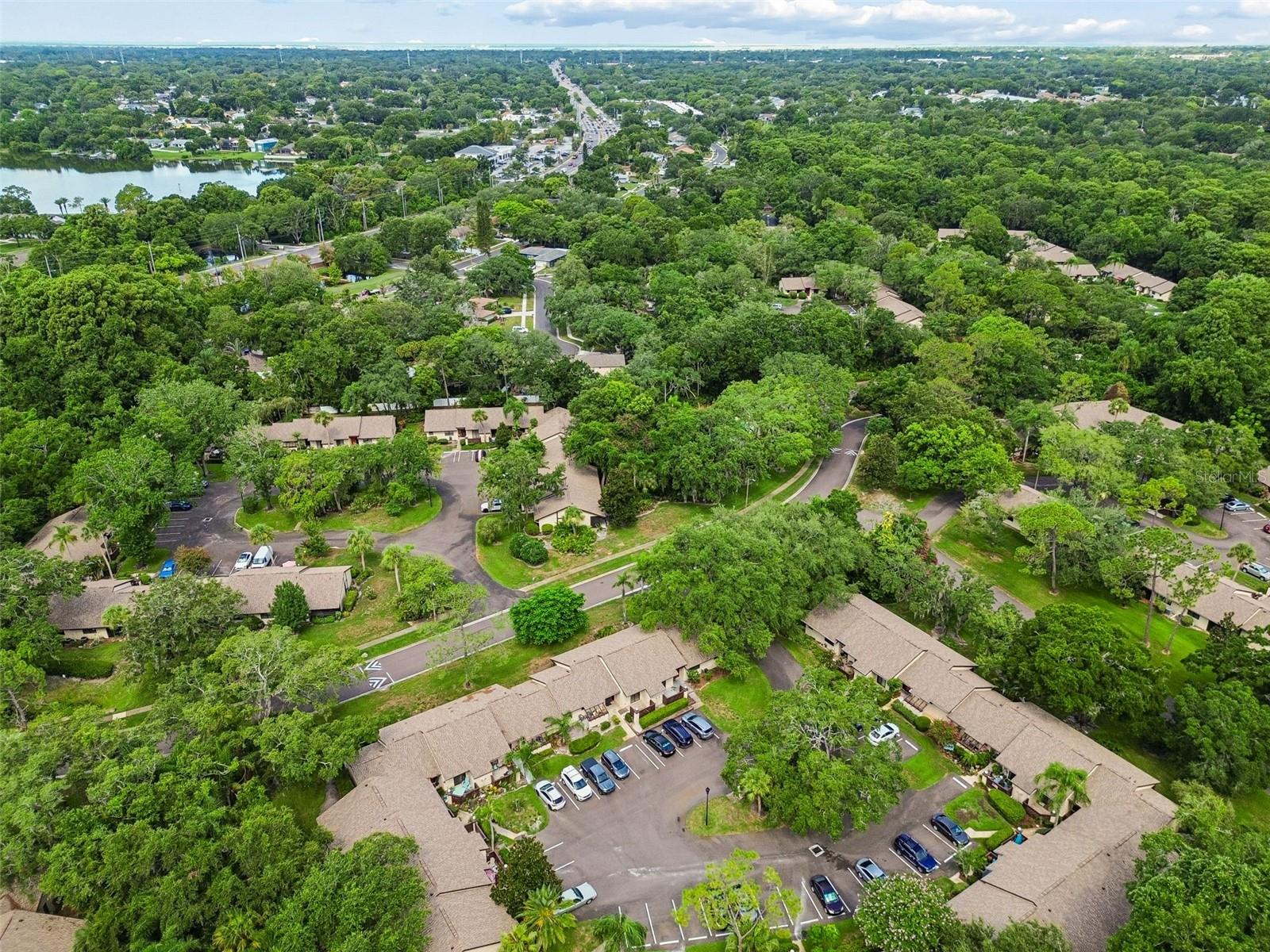 2903 FIG CT — photo 43