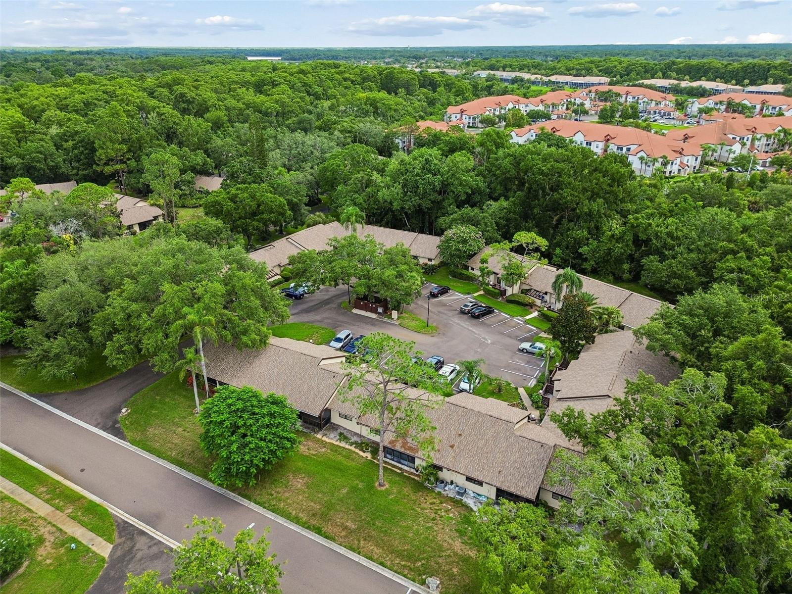 2903 FIG CT — photo 38